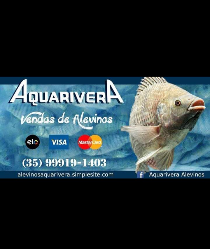 Foto de AQUARIVERA ALEVINOS