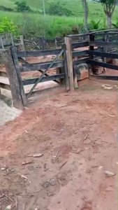 Terreno Rural à Venda em São João Evangelista