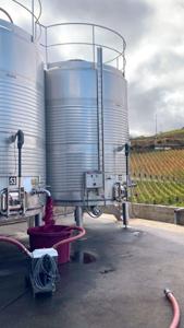 Vinho Bordô a Granel - 60.000 L